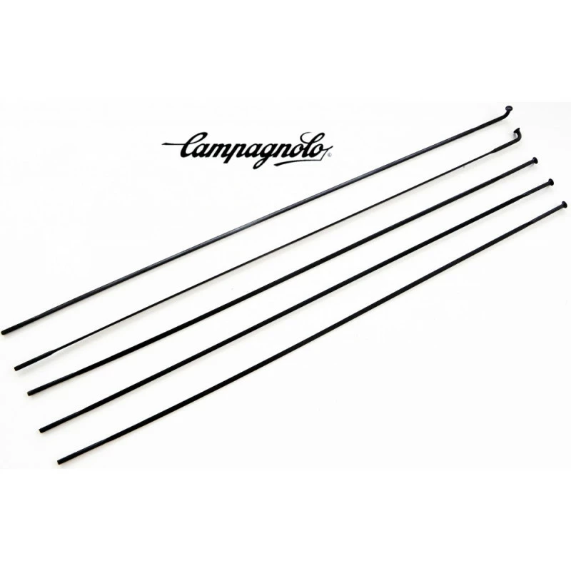 Campagnolo® Set De 5 Rayons CAMPAGNOLO SCIROCCO 2007 3 Campagnolo® Set De 5 Rayons CAMPAGNOLO SCIROCCO 2007